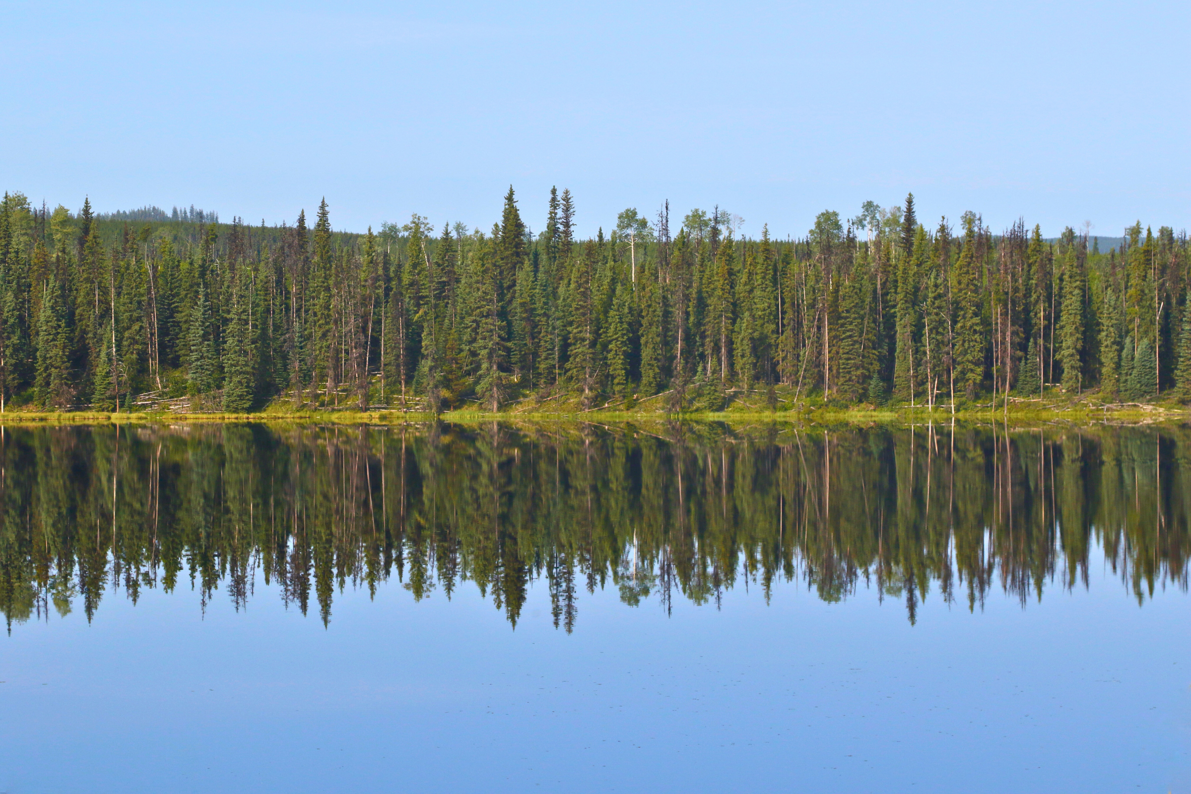 quesnel, british columbia.webp
